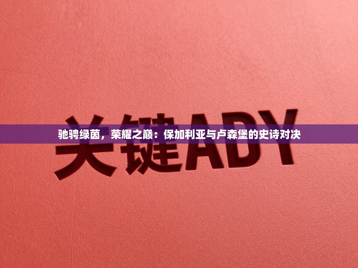 驰骋绿茵,荣耀之巅:保加利亚与卢森堡的史诗对决 第2张