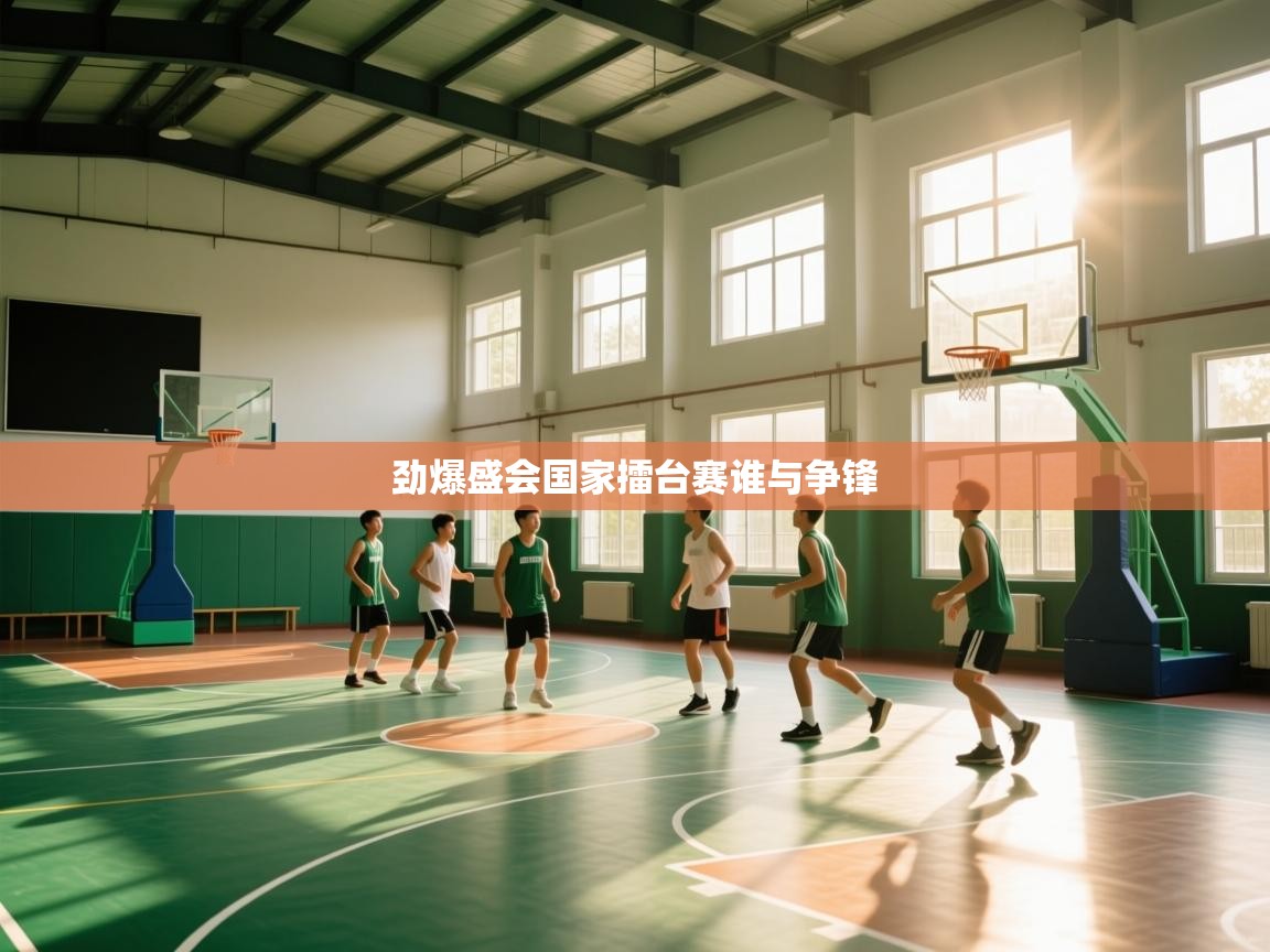 劲爆盛会国家擂台赛谁与争锋